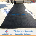 HDPE Tri-Dimension Composite Geonet Fabrinet Geokomposit für Drainage